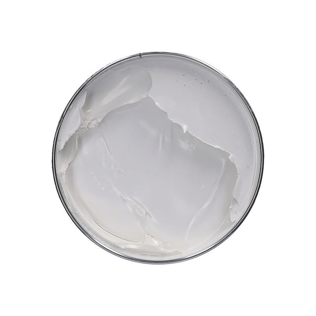 GAP 20 - Polyesterspachtel 2kg + Härter - fine