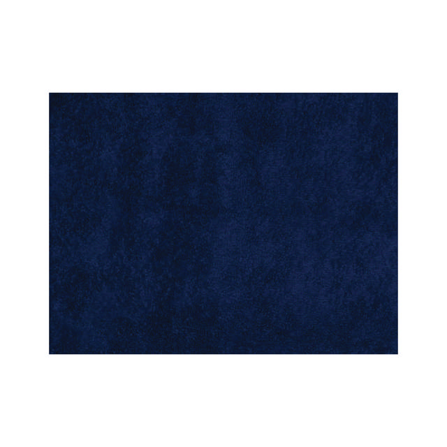 TWL 00 - Mikrofasertuch Groß