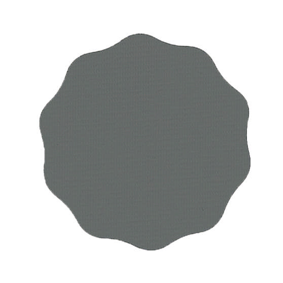 SPDM 3000 - Schleifblüten PVC-Träger Ø35mm P3000 100st.