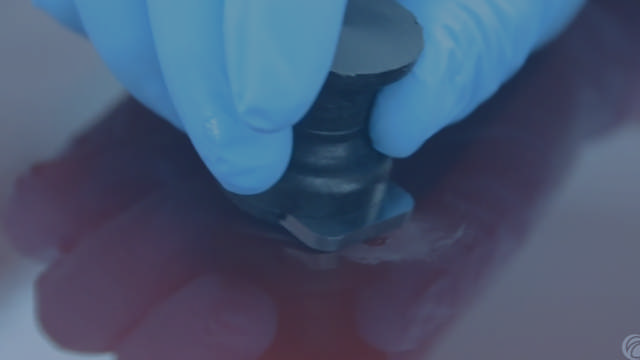 Staubentfernungsfeile