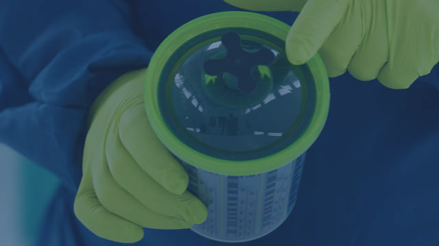 Einfache Lagerung des Green Paint Systems