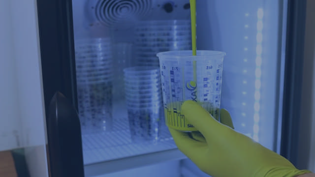 Bedruckte Mischbecher – winterfester Kunststoff